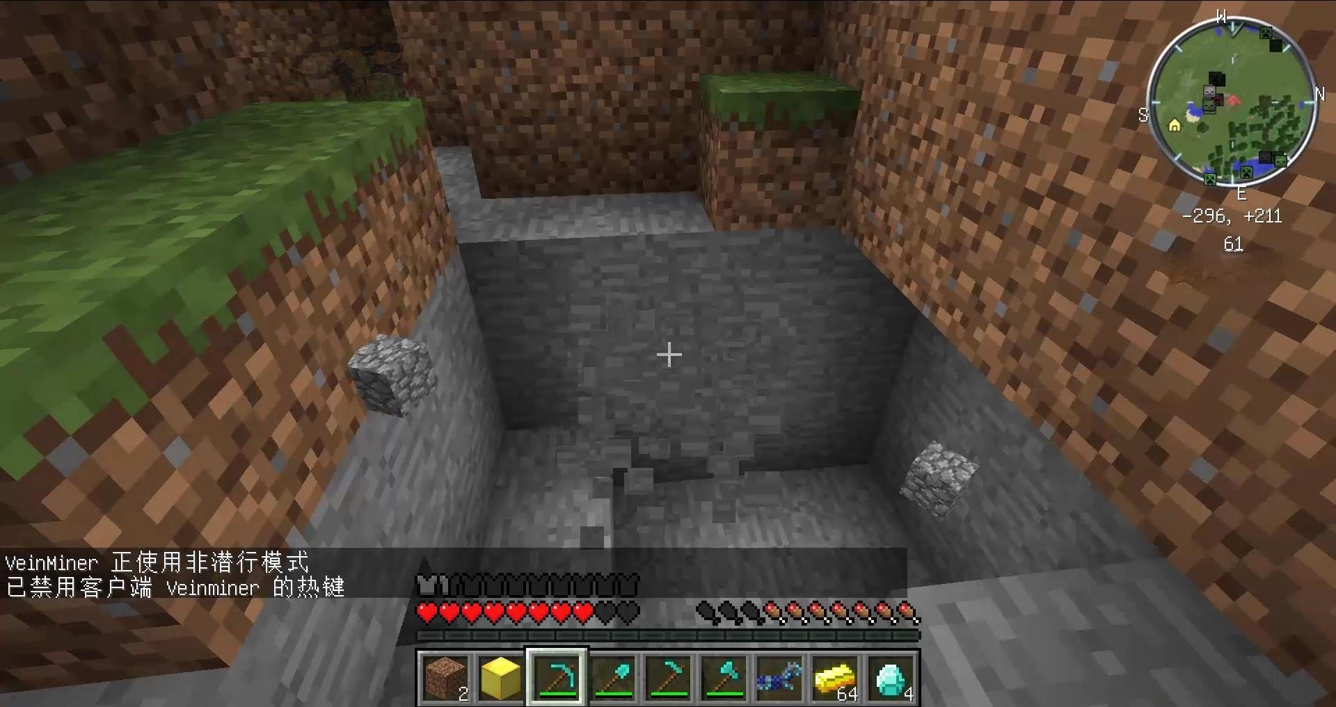 空洞骑士 年度版 截图22